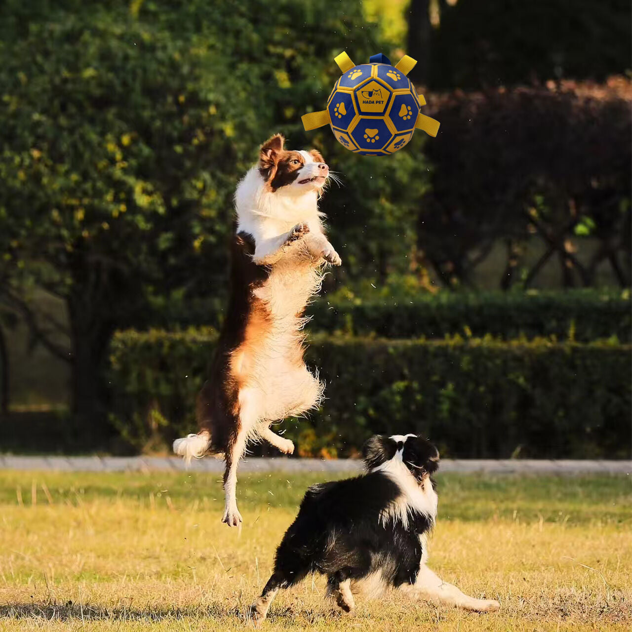 pet products Dog toy with rope Little Yellow Duck plush interactive tennis, suitable for tug-of-war, birthday gift for small dogs, draggable and durable water ball, special for small and medium-sized dogs, made of high quality PU material, which can be ki