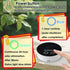 Pet Odor Eliminator Portable Air Freshener Cat Litter Box Deodorizer Dog Smell - White - Size 01