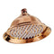 8 Inch Round Alloy Rain Shower Head – High Pressure Rainfall Showerhead for Bathroom, Universal Fit, Easy Installation - Rose Gold - Size 8in