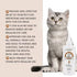 pet products Pet products , Eye Stain Remover for Dogs and Cats, Dry Eyes, Keratitis ,Conjunctivitis,One's Eyes Become Bloodshot,Redness And Itching, Increased Secretion