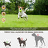 Automatic Dog Ball Launcher with 15 Mini Tennis Balls & Mesh Bag – Rechargeable Pet Toy for Small Dogs, Adjustable Launch Distance, Interactive Play (Orange)