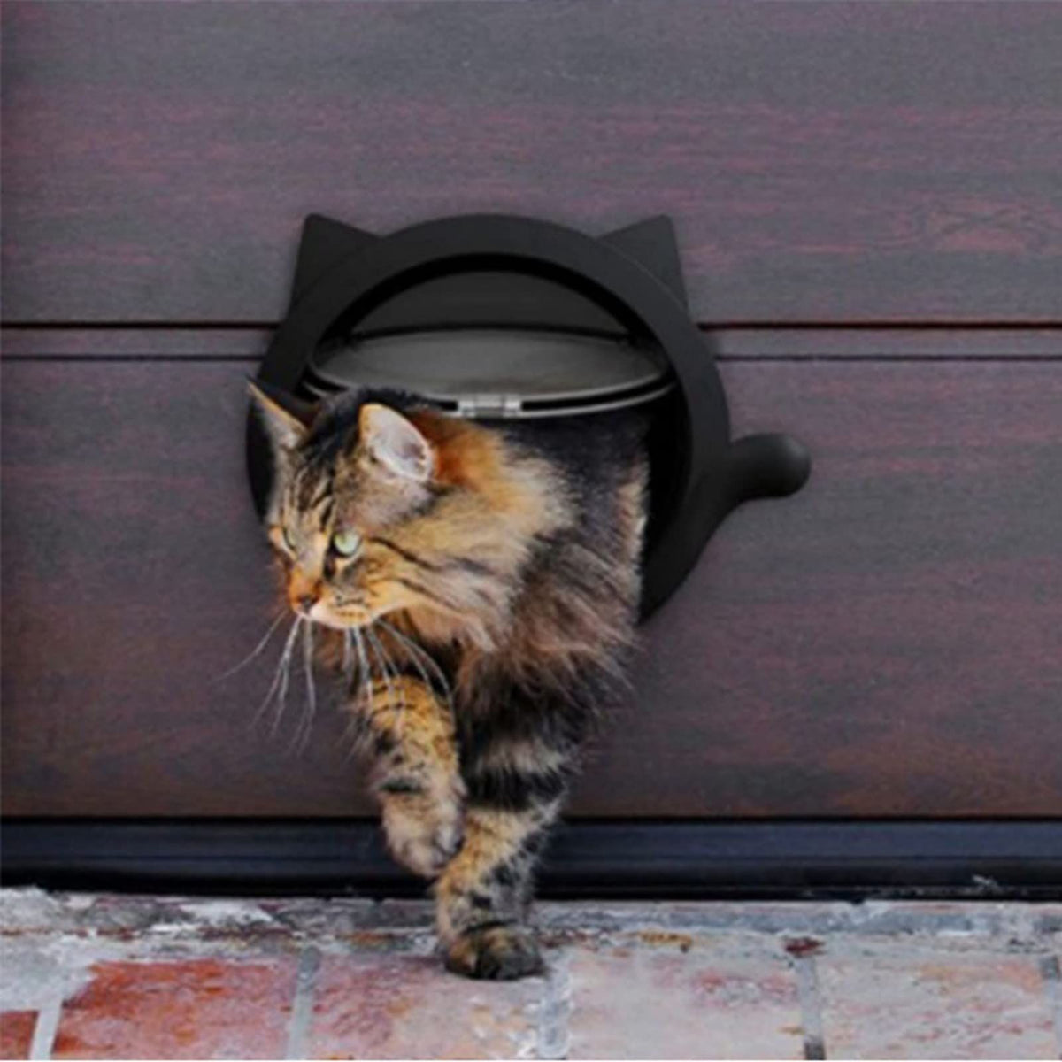 Indoor Cat Flap Door, 21cm/8.27in Opening
4 Locking Modes | Magnetic & Weatherproof | Thin Door & Wall | Easy Install |(white)