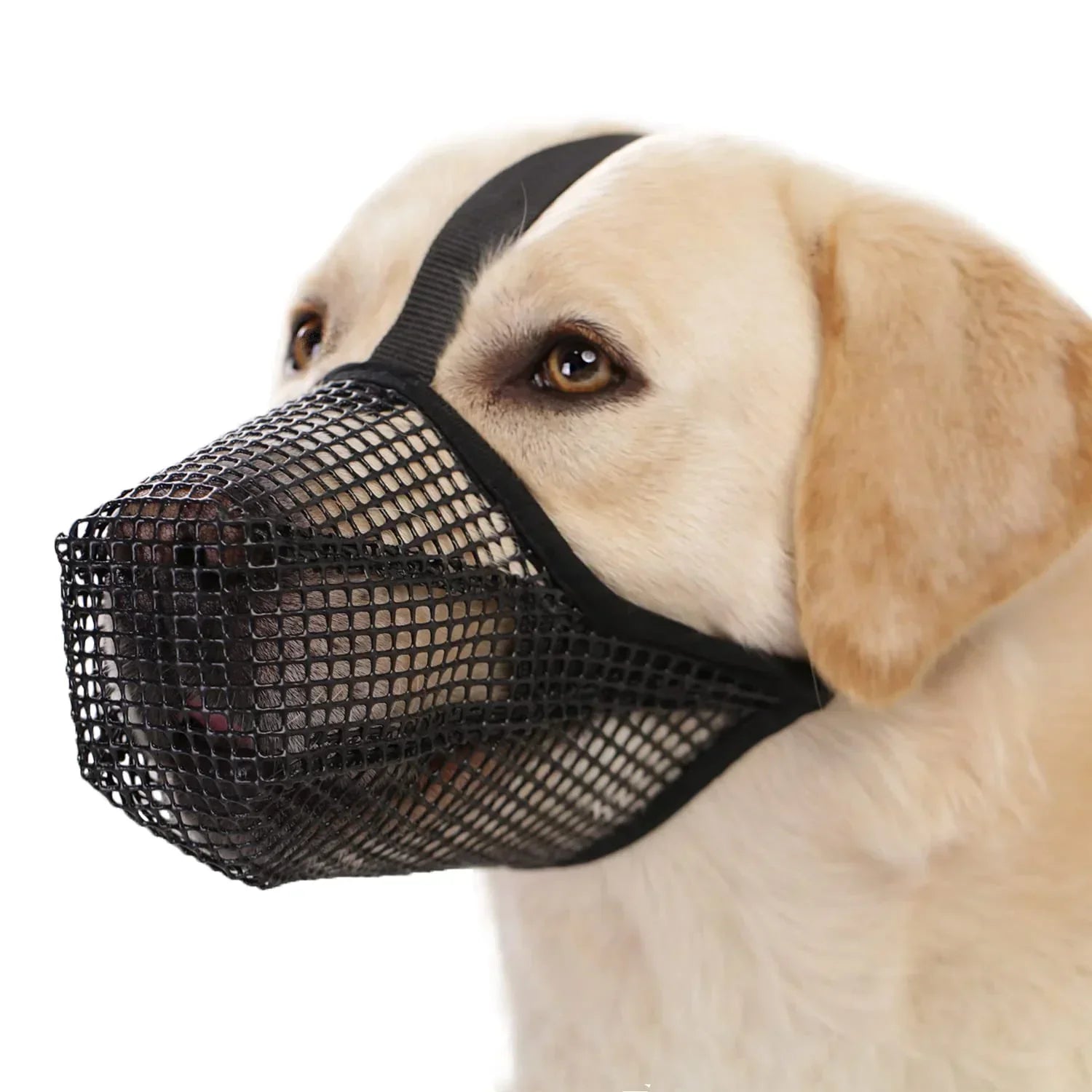 Soft Mesh Dog Muzzle for Small Medium Large Dogs – Breathable Adjustable Anti-Bite Chewing Guard with Overhead Strap – Fits Labrador, German Shepherd, Golden Retriever – 5 Sizes (Black,XS)