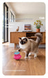 Automatic Interactive Cat Laser Toy for Indoor Cats' Playtime and Entertainment (Red)