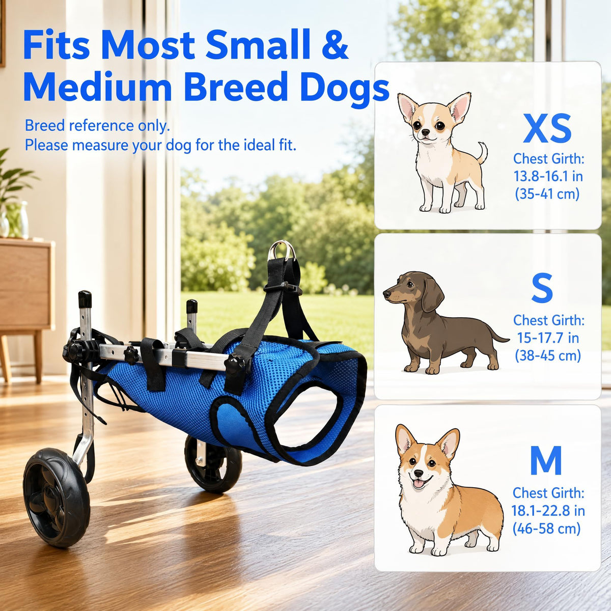 X-Small Adjustable Dog Wheelchair - Mobility Aid for Disabled Pets with Back Leg Issues - Leg Brace & Hip Support(blue)