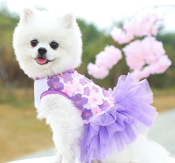 Fall Dog Dresses for Small Dogs Girl 3 Pack Summer Puppy Clothes Outfit Apparel Female Cute Cat Skirt