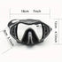 Adult Anti-Fog Snorkel Set with Dry Tube