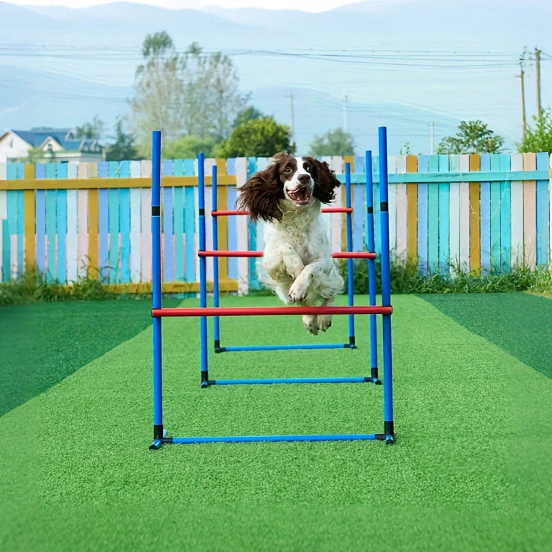 Dog Agility Training Set for Pets