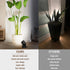 RGB LED Spot Lights with Remote - 20 Color Changing, Dimmable Indoor Accent Lamps