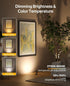 Spotlights Indoor, No-Glare Rechargeable Floor Can Light for Plants with Remote, Wireless Art Accent Spot Lights Uplight for Painting, Picture, Dartboard, Home, Corner Sofa Display