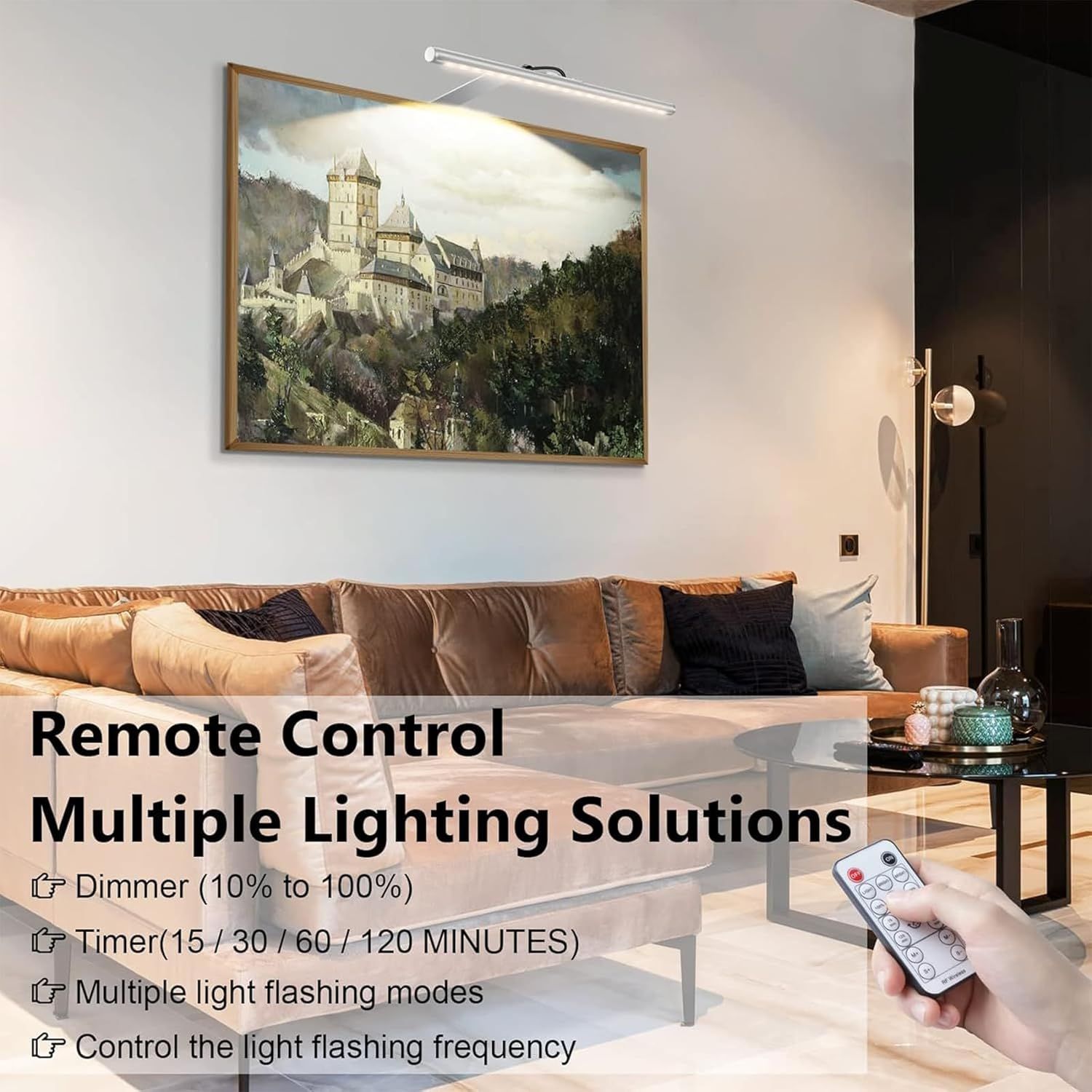 Picture Lights for Wall Plug in or Hardwired,3000K Warm White Dart Board Lights with Remote,13.5inches Silver LED Art Light Dimmbare mit Timer for Gallery Paintings Picture Dartboard