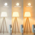 Battery Operated Light Bulbs, 5000mAh Rechargeable Light Bulb Set of 2 with Remote, 3 Colors 10 Levels Dimmable Fabric Wireless Sconces Light Bulb with Timer for Bedroom Living Room