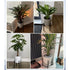 Plant Stand, Simple Style Metal Plant Shelf, Indoor And Outdoor Flower Pot Holder Adjustable Width For 20-30Cm Pots