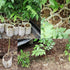 500 pcs Non-Woven Plant Bags, Biodegradable Non-Woven Fabric Plant Bags Seedling Grow Bags For Tomatoes, Flowers,