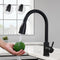 Black Kitchen Faucet, Stainless Steel Pull-Down Sprayer, 2 Spray Modes