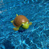 Premium Floating Pet Chlorine Dispenser For Chemical Tablets Compatible With 3" Tabs Bromine Holder (Turtle)