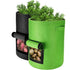 Potato Grow Bags, 2 pcs 40L/10 Gallon Vegetable Bag, Non-Woven Fabric Planting Bag With Window, Garden Vegetable Bag