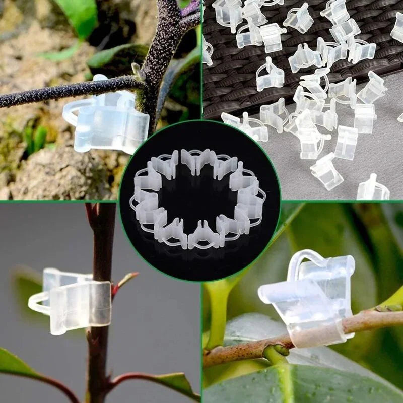Gardening Grafting Clips 100 pcs Plastic Grafting Support Garden Clip Vegetable Vine Tomato Fruit Trees Mini Gardening