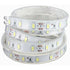 5M 5630 Smd LED Silicone Strip Light Cool White Waterproof 12V