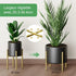Plant Stand, Simple Style Metal Plant Shelf, Indoor And Outdoor Flower Pot Holder Adjustable Width For 20-30Cm Pots