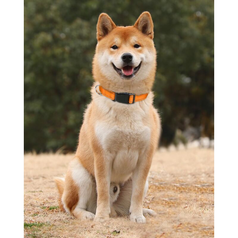 Dog Collar, Classic Adjustable Reflective Nylon Collar Suitable For Medium Dogs, Orange, 2.5Cm Width