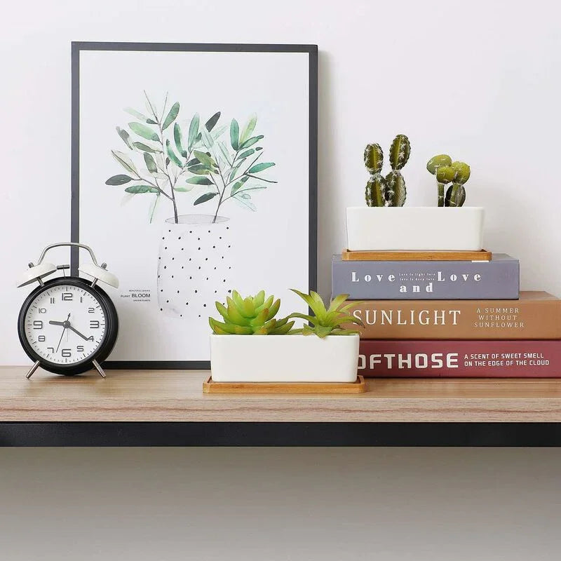 17Cm Ceramic Succulent Pot With Bamboo Tray White 2 pcs Set, Cactus Planter Cache Pot Jardinière Container Gift For