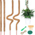 4 Bendable Moss Stakes for Climbing Plants, 100cm, Compatible with Ivy and Monstera, 7mm