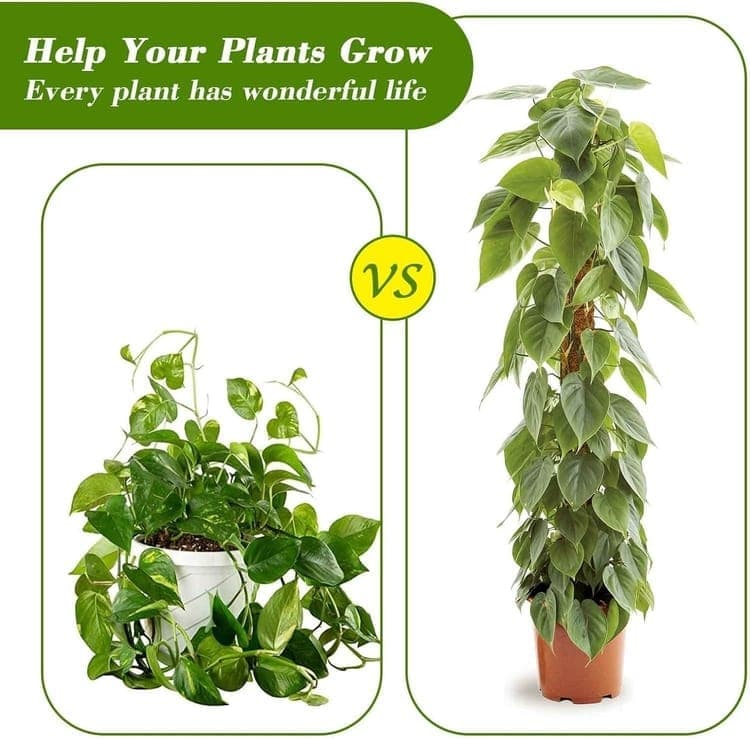 4 Bendable Moss Stakes for Climbing Plants, 100cm, Compatible with Ivy and Monstera, 7mm