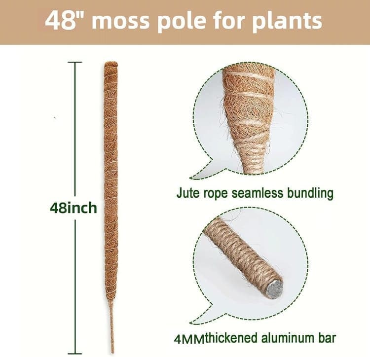4 Bendable Moss Stakes for Climbing Plants, 100cm, Compatible with Ivy and Monstera, 7mm