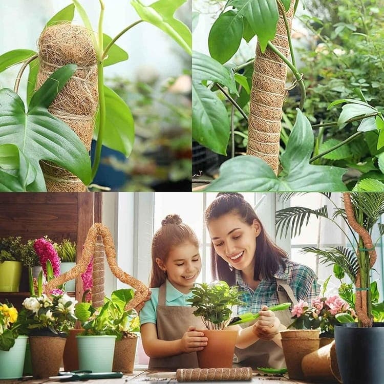 4 Bendable Moss Stakes for Climbing Plants, 100cm, Compatible with Ivy and Monstera, 7mm