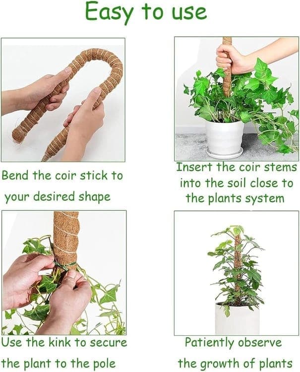 4 Bendable Moss Stakes for Climbing Plants, 100cm, Compatible with Ivy and Monstera, 7mm