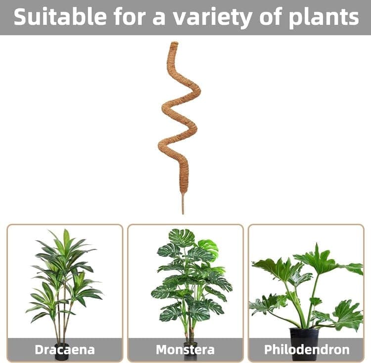 4 Bendable Moss Stakes for Climbing Plants, 100cm, Compatible with Ivy and Monstera, 7mm