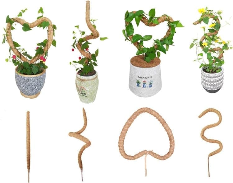 4 Bendable Moss Stakes for Climbing Plants, 100cm, Compatible with Ivy and Monstera, 7mm