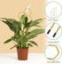 Climbing Plant Trellis 14 inch Metal Support for Vines Potted Plants and Flowers, Modern Design