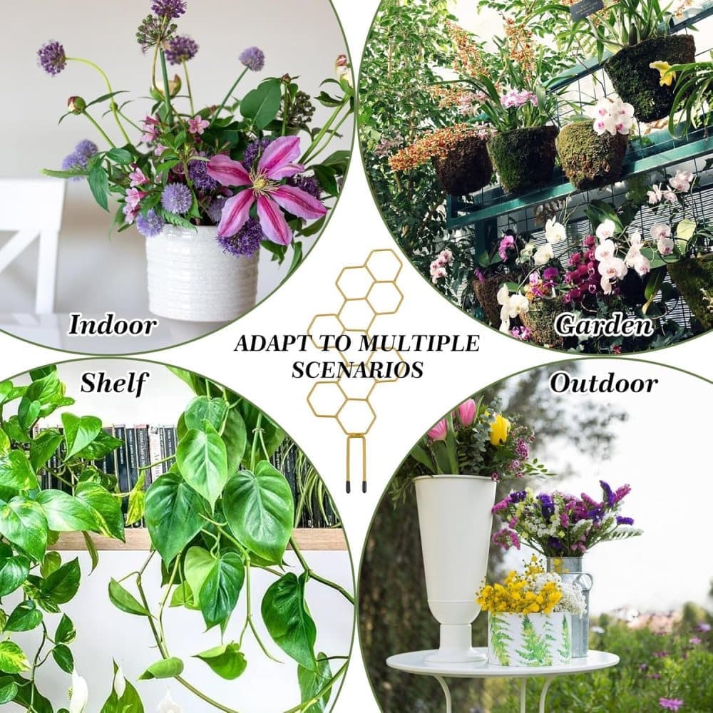 Climbing Plant Trellis 14 inch Metal Support for Vines Potted Plants and Flowers, Modern Design