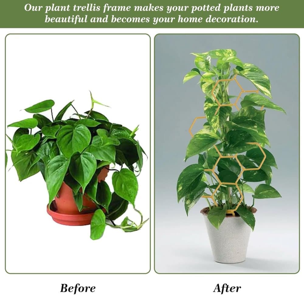 Climbing Plant Trellis 14 inch Metal Support for Vines Potted Plants and Flowers, Modern Design