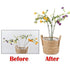 10-Pack Plant Support Flower Stakes for Potted Plants, 12 Inches