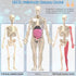 Glow in Dark Human Body Model, 3D Realistic Human Anatomy Model,Removable Human Organ Model for Study Teaching Demonstration