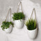 3-Pack White Ceramic Wall Pots