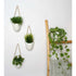 3-Pack White Ceramic Wall Pots