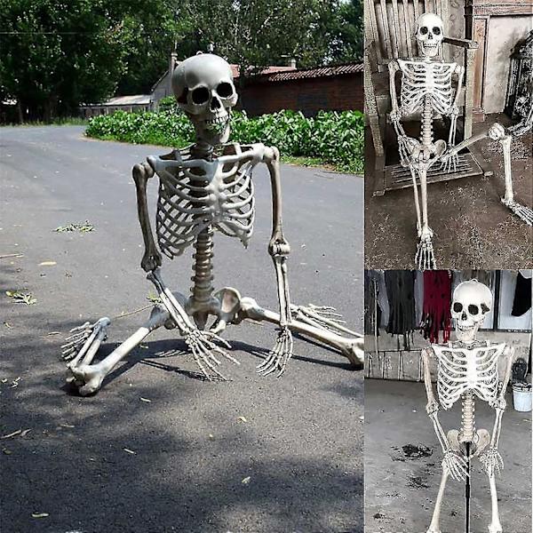 Halloween Skeleton Life Size, Full Body with Movable Joints, Human Legs, Scary Halloween Skeleton Decoration for Halloween Party, Haunted House Accessories