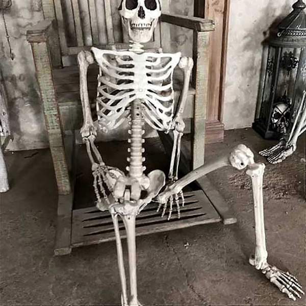 Halloween Skeleton Life Size, Full Body with Movable Joints, Human Legs, Scary Halloween Skeleton Decoration for Halloween Party, Haunted House Accessories