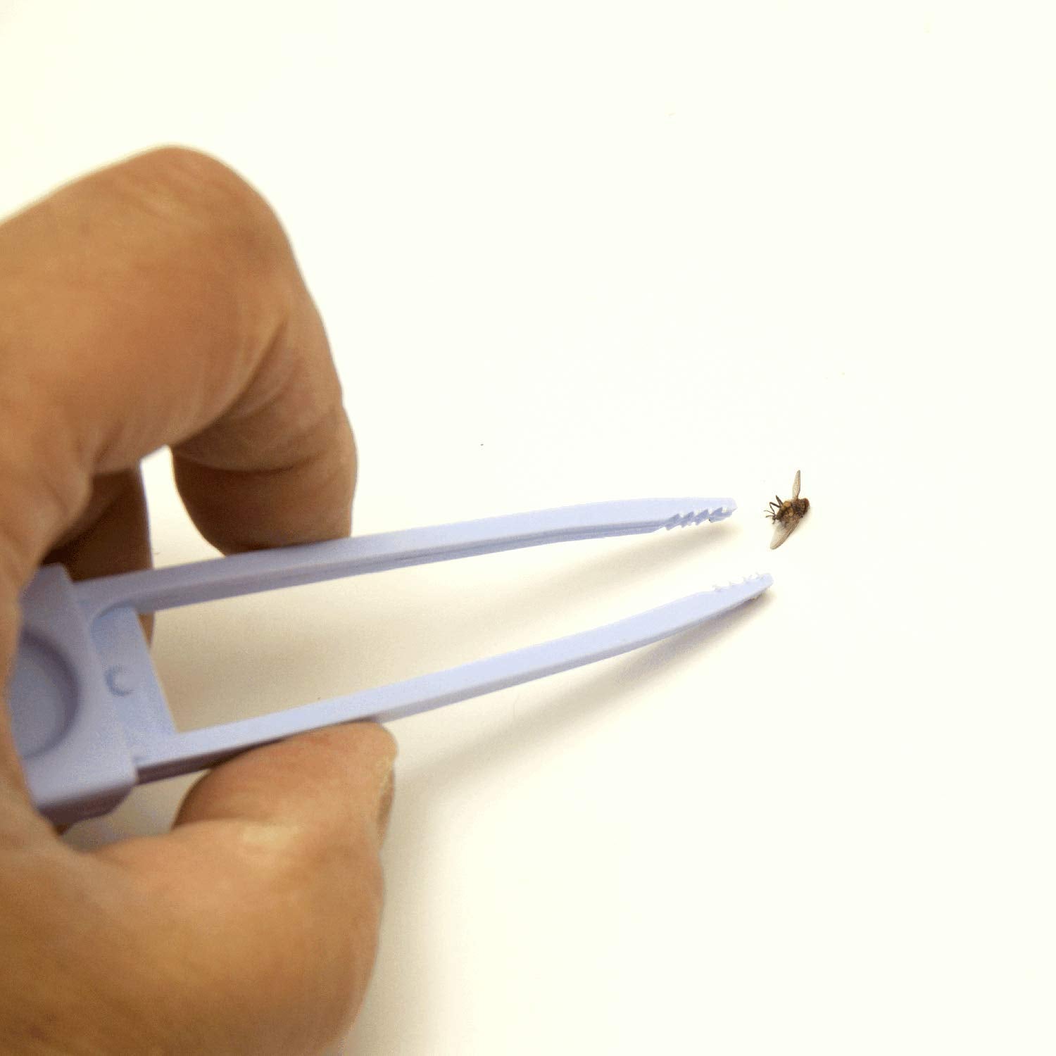 Plastic Fly Swatter with Tweezers, Bugs Whisk and Fly Killer with Pincers (3)