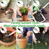 Small Garden Tool Set, 6 Pieces Iron Gardening Kit Including Hand Shovel, Transplant Shovel and Hand Rake with Wood Non-Slip Handle Perfect for Plant Lovers