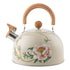 Whistling Tea Kettle for Stovetop, Stainless Steel Tea Pot Kettles, Rapid Boiling Teapot with Stay-Cool Ergonomic Handle, Perfect for Home & Kitchen Multicolor