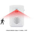 Motion Sensor Activated Sound Player Speaker with USB Cable, Download Your own MP3 Audio Files to Play Speech, Music (White)