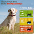 Dog Shock Collar 1Dogs (8-120Lbs) - Waterproof Training Collar for Dogs Large Medium Small with Rechargeable Remote