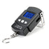 Fishing Scale Backlit LCD Screen, Portable Electronic Balance Digital Fish Hook Hanging Scale with Measuring Tape Ruler