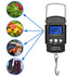Fishing Scale Backlit LCD Screen, Portable Electronic Balance Digital Fish Hook Hanging Scale with Measuring Tape Ruler