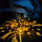 Hummingbird Solar Lantern Lights Hanging Lights Outdoor,Gift for family Friends,Pathway Lights Solar Table Lights Waterproof